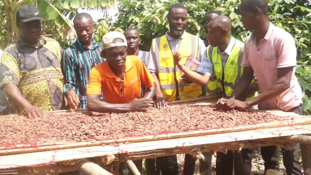 WhatsApp Image 2025-12-02 at 04.53.27_cb792161